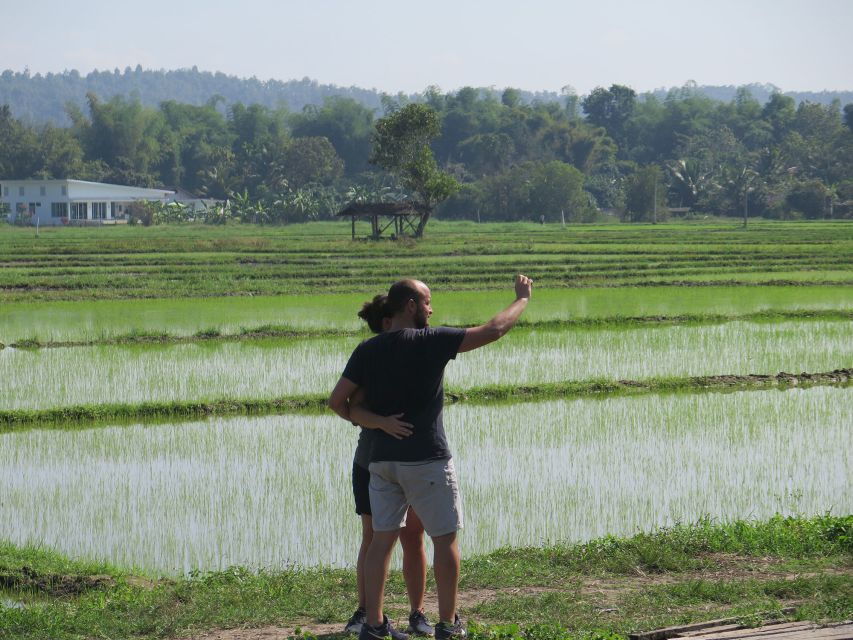 Chiang Mai Fields of Gold Cycling Tour