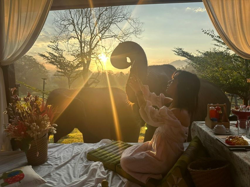 Chiang Mai: Good Morning Elephant & Overnight Home Stay