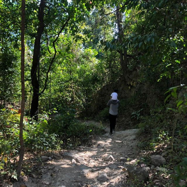 Chiang Mai Monk’s Trail Wat Pha Lat & Visit Wat Doi Suthep