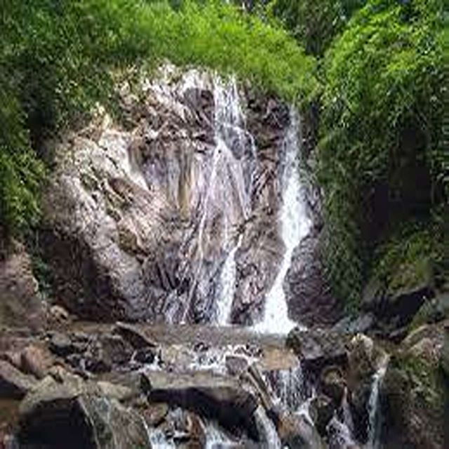 Chiang Mai: Sensation 3Days 2nights, Explore in Tea Village - Good To Know