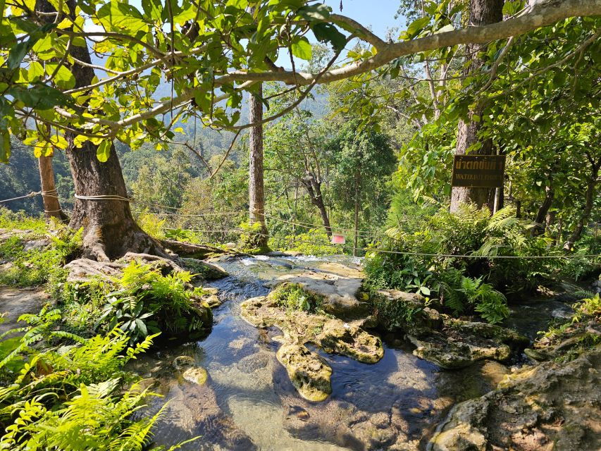Chiang Mai: Sticky Waterfall Half-Day Tour & Hotel Transfers - Good To Know