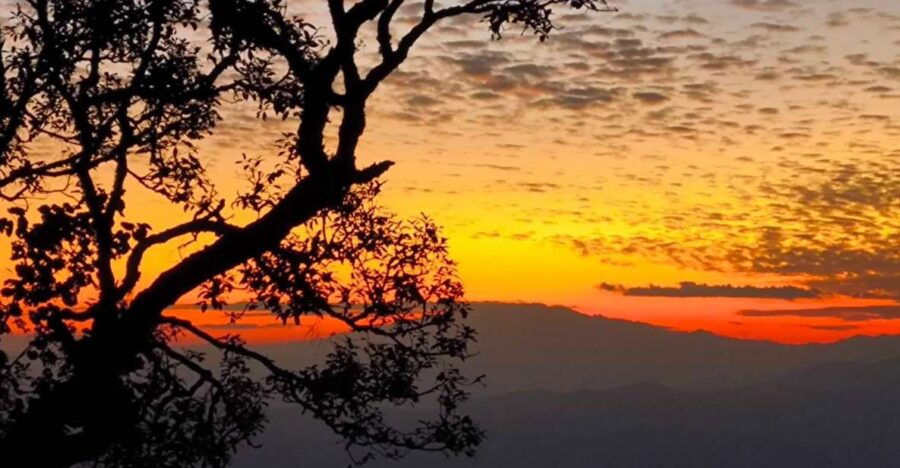 Chiang Mai Sunset Point,Wat Pha Lat,Wat Doi Suthep,Wat Umong