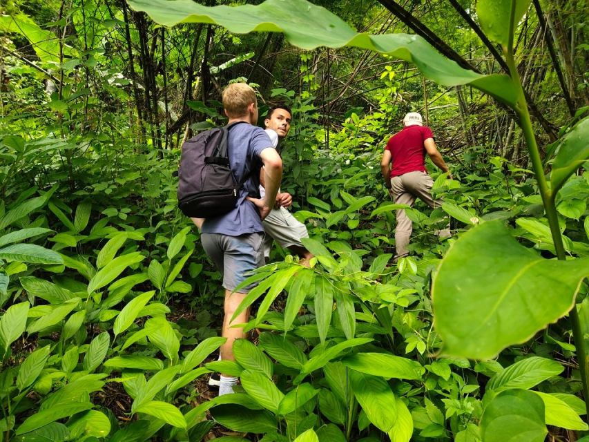 Chiang Rai Jungle Adventure: Group Trekking & Bamboo Cooking - Good To Know