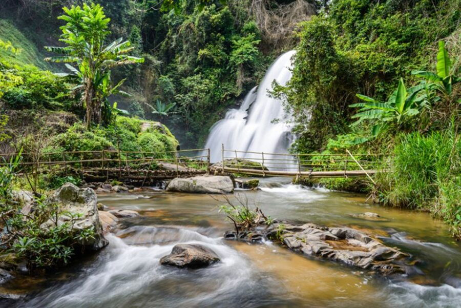 ChiangMai: Doi Inthanon National Park&mini-trek to Waterfall