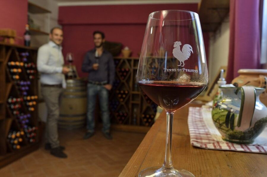 Chianti: Terre Di Perseto Winery Guided Tasting & Tour - Good To Know