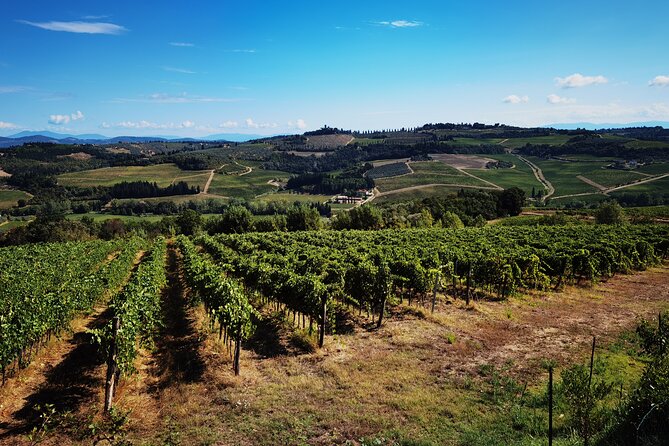 Chianti to San Gimignano E-bike Tour - Good To Know