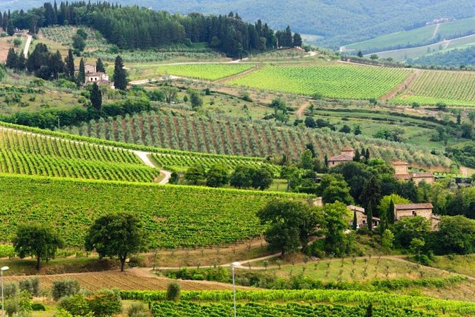 Chianti Two-Day Towns and Wineries Tour (Feb ) - Good To Know