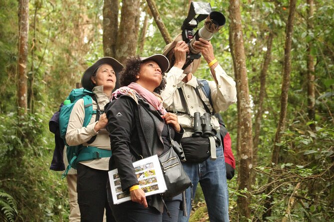 Chicaque Cloud Forest Birding - Good To Know