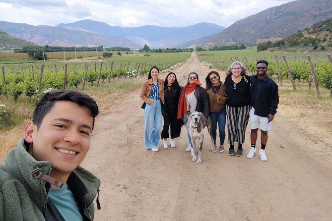 Chile Wine Boutique - Good To Know