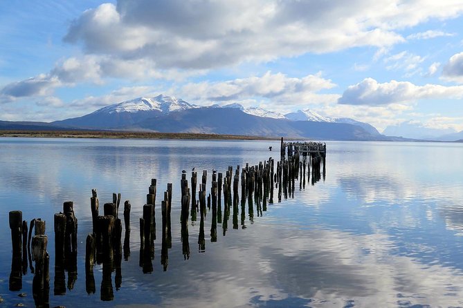 Chilean Patagonia: 4-Day Small-Group Tour - Punta Arenas