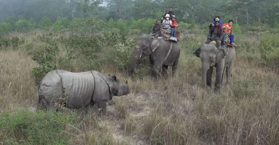 Chitwan National Park Luxury Tour
