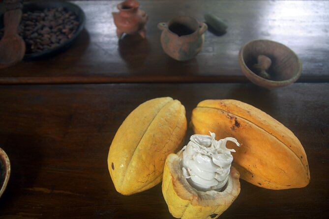 Chocolate and Farm Tour With Local Tico Family