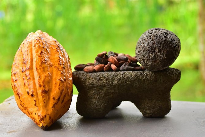 Chocolate Experience in Jaco Beach and Los Suenos - Good To Know