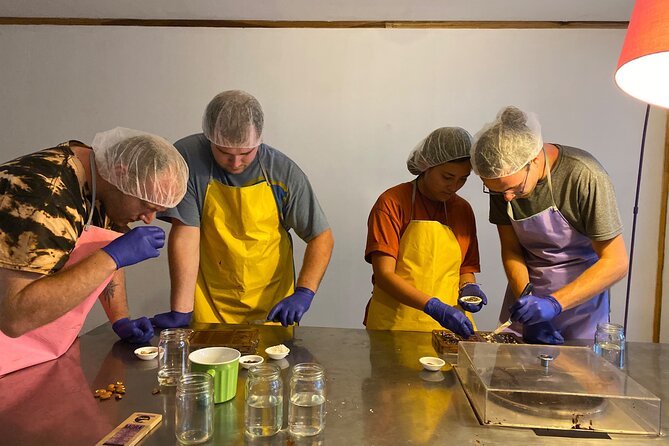 Chocolate Making and Tasting at a Local Factory in San José - Good To Know