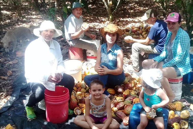 Chocolate Tour (Cacao Plantation) - Good To Know