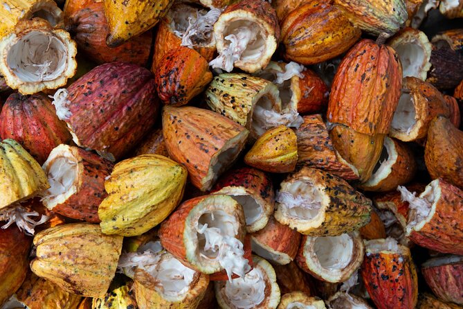 Chocolate Tour in Indigenous Area Bribri & Cahuita National Park