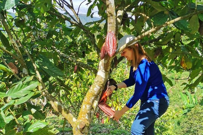 Chocolate Tour In Medellin: A Great Farm Experience - Private Tour - Good To Know