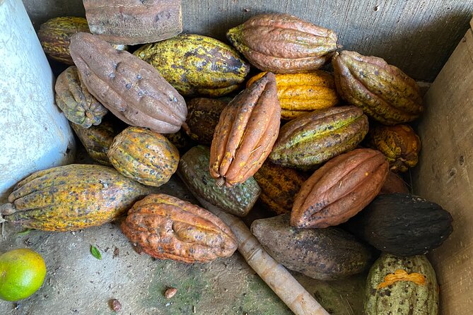 Chocolate Tour Near Medellin - Good To Know
