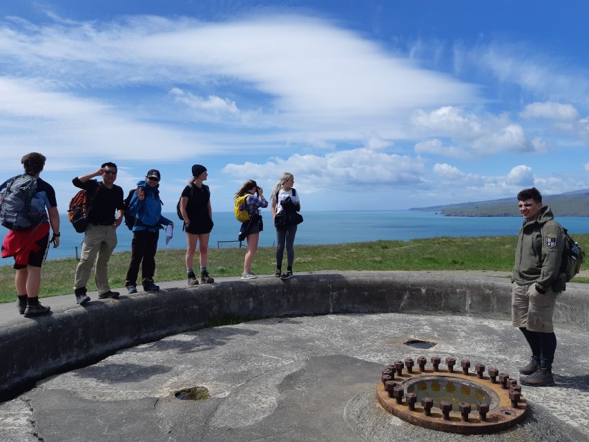 Christchurch: Godley Head & Lyttelton Guided Walking Tour