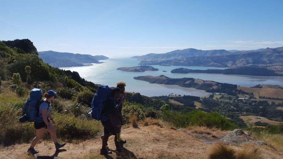 Christchurch: Packhorse Hut Guided Walk and Scenic Drive - Good To Know