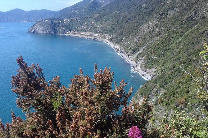 Cinque Terre Unforgettable Hiking Experience - Good To Know