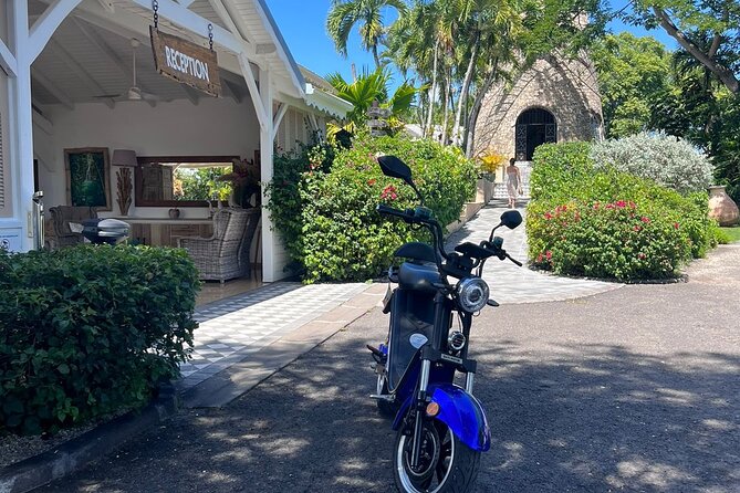 Circuit in Electric Scooters in Sainte-Anne