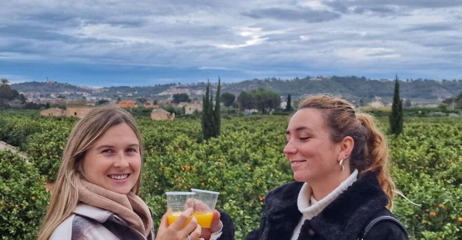Citrus Treasures: Exploring Valencia’s Orange Grove