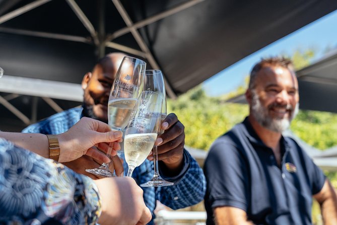 City Escape: Cape Peninsula Private Day Trip - Good To Know