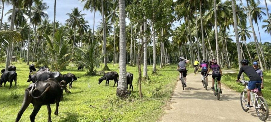 City & Fort Cycling Tour in Galle