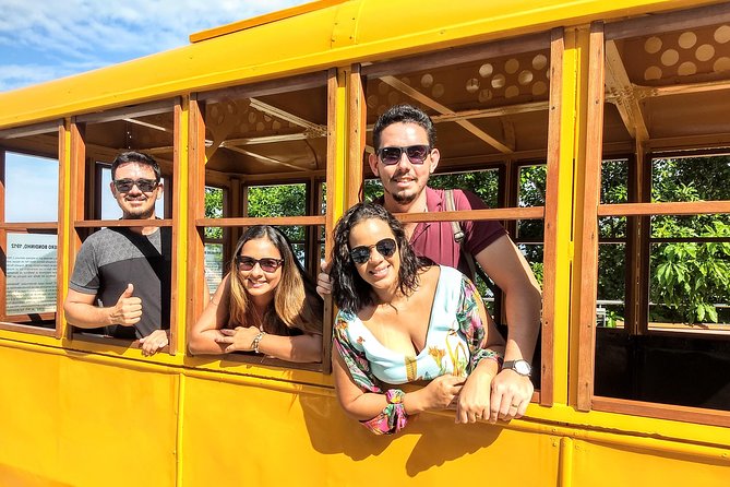 CITY TOUR - a Day in Rio (TOURist Guide Transportation)
