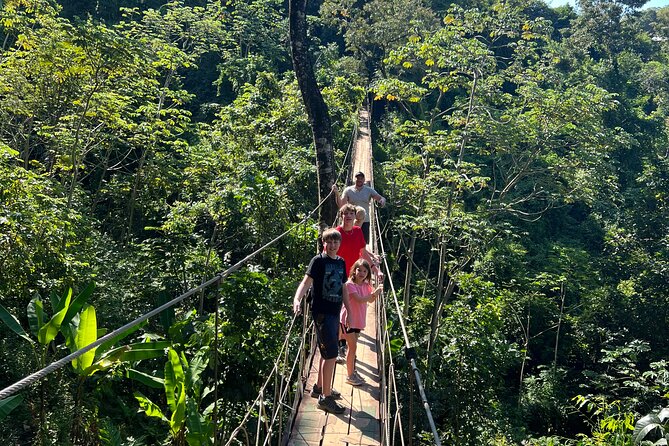 City Tour and Zip Line on the Lush Tropical Jungle in Roatan.