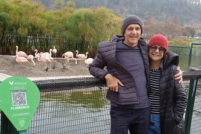 City Tour by Santiago of Chile -A Beautiful Experience - Half Day - Tour Overview