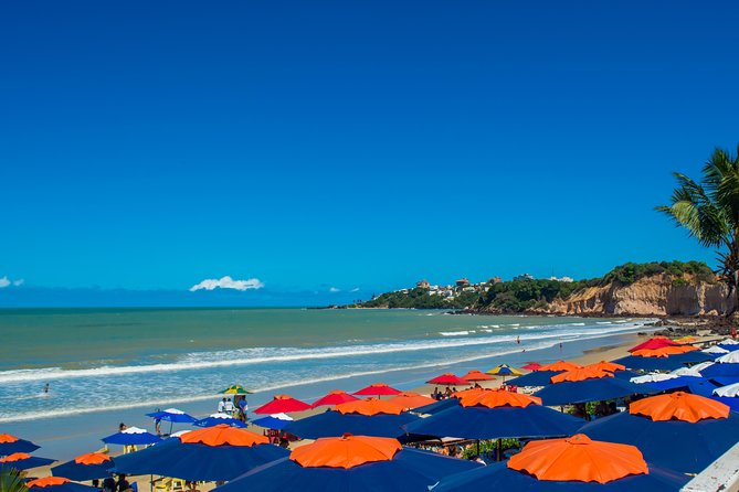 3 Best City Tours In Natal