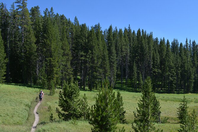 Classic Yellowstone Hike to the Shores of Lake Shoshone (Private up to 8 People) - Good To Know