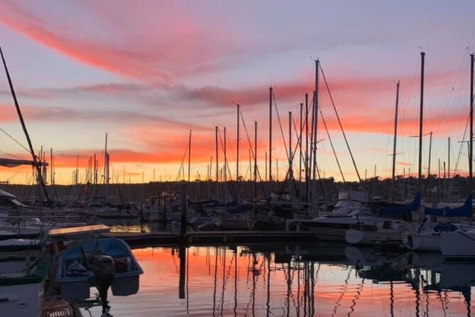 Clear Bottomed Kayak Rentals in San Diego