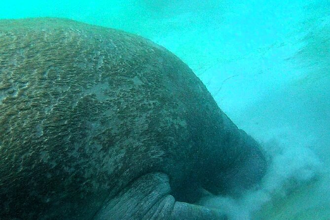 Clear Kayak Eco Tour in Jupiter, Florida - Tour Details