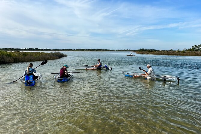 Clear Kayak Ecotour Destin Ft. Walton Beach - Activity Details
