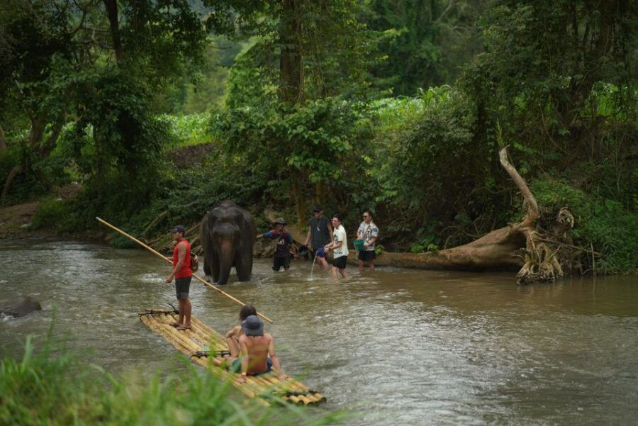 CM: Private Elephant Care, Rafting, Long Neck Karen&Ziplines