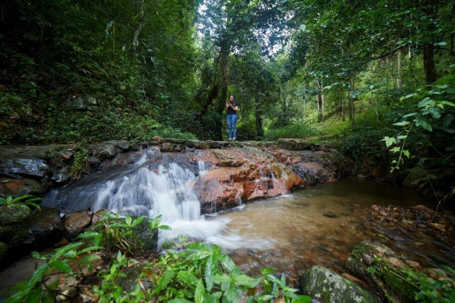 CNX: Trekking & Villager Living in Forest, Tea& Coffee Farm - Good To Know