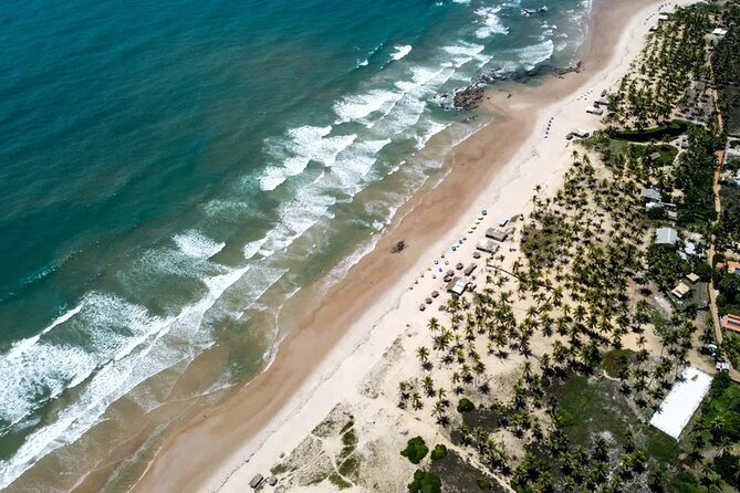 Coastal Wonders – Leaving Salvador