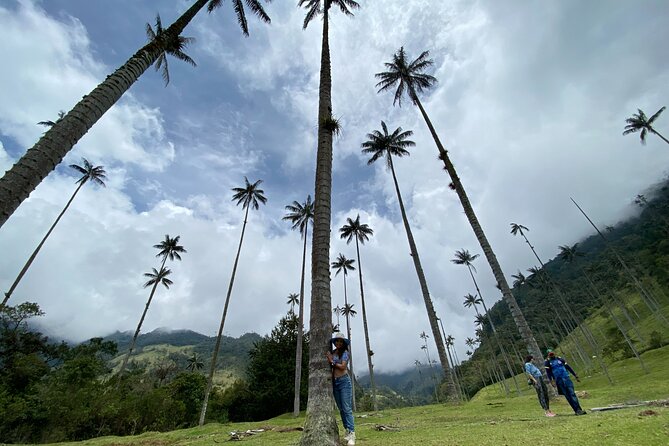 Cocora, Salento and Coffee Experience - Good To Know