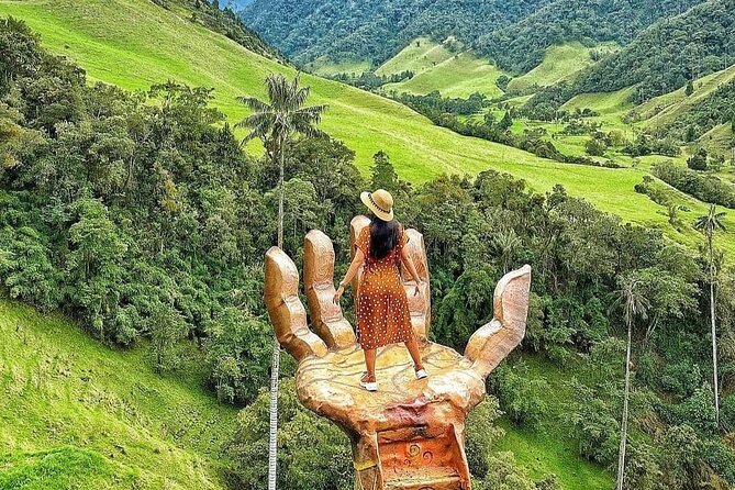 Cocora Valley and Coffee Farms Tour