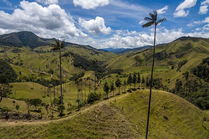 Cocora Valley and Salento Hike Tour - Good To Know
