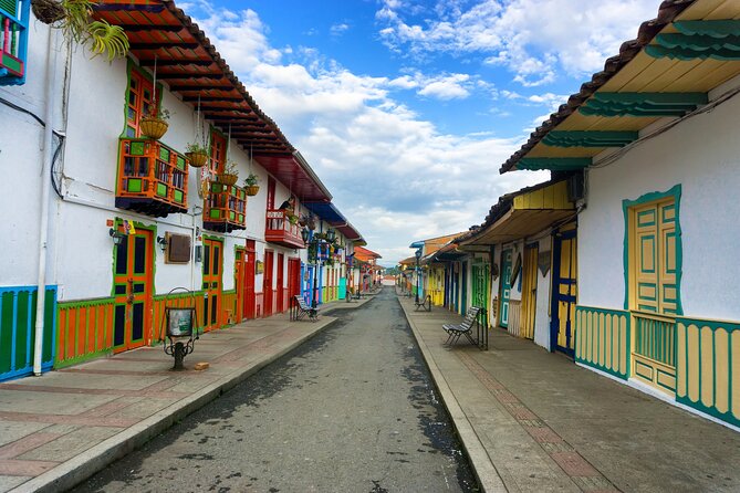 Cocora Valley and Salento Hike Tour