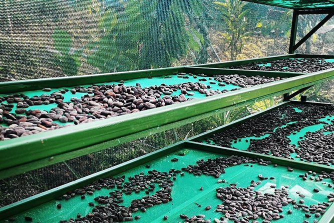 Coffee and Chocolate Experience  - Quepos - Good To Know