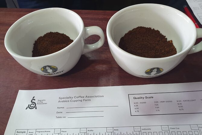 Coffee Connoisseurs Unite at AVOEDEN Workshop