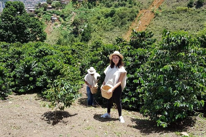 Coffee Experience - Good To Know