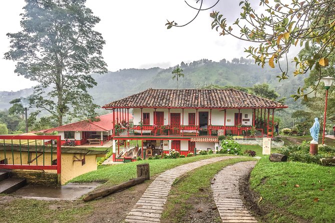 Coffee Farm Experience at Finca El Ocaso From Salento