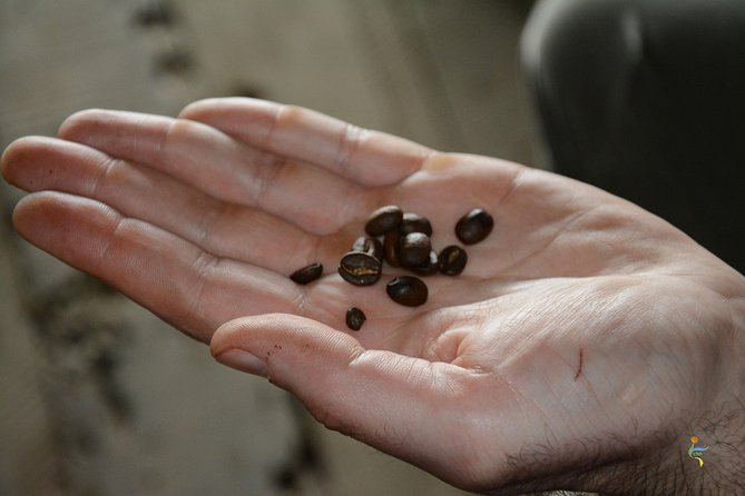 Coffee Farm - Group Tour and Daily Departure - Good To Know