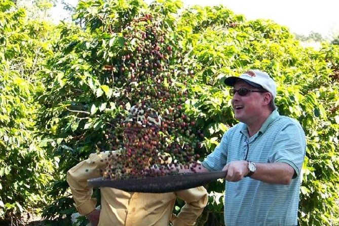 Coffee Farm Near São Paulo, Departures From Hotels and Airport